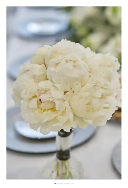 Nakrycie stołu weselnego — Wedding Design